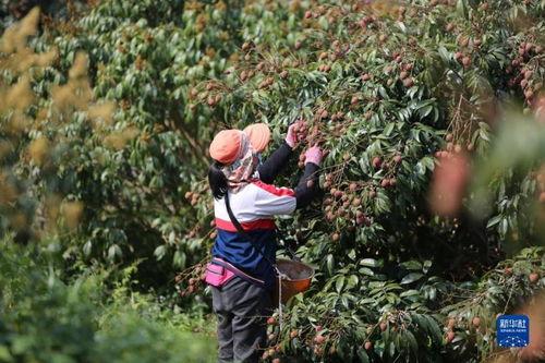 24小时吃瓜黑料免费